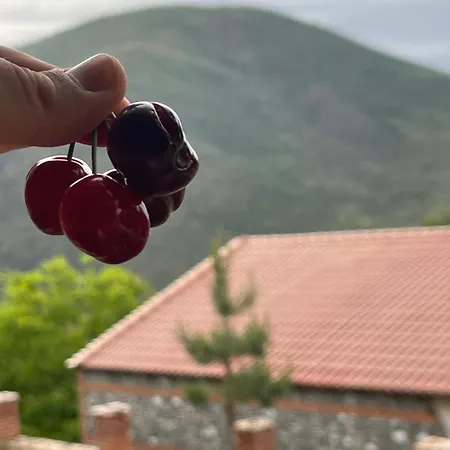 Nia's Farm Affittacamere *