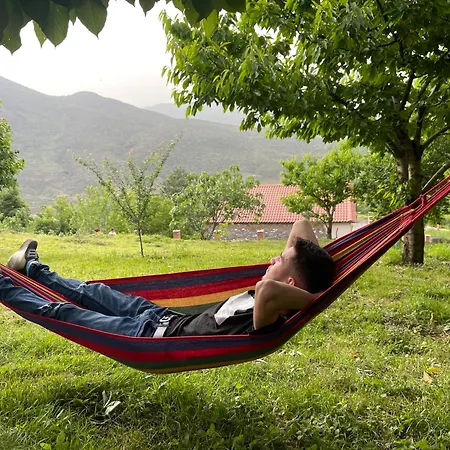 Nia's Farm * Librazhet