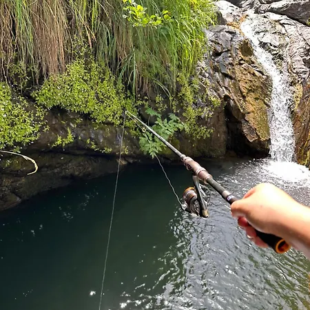 Nia's Farm Affittacamere Librazhet