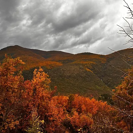 Nia's Farm Affittacamere *