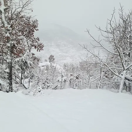 Gasthof Nia's Farm *