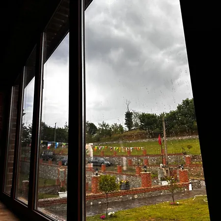 Nia's Farm Librazhet