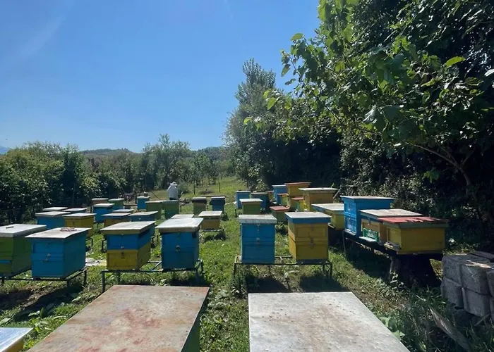 Nia's Farm بيت ضيافة Librazhet