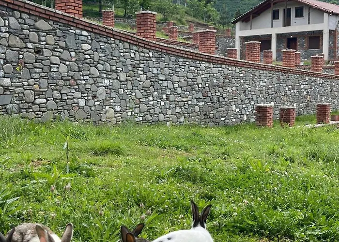 Nia's Farm *