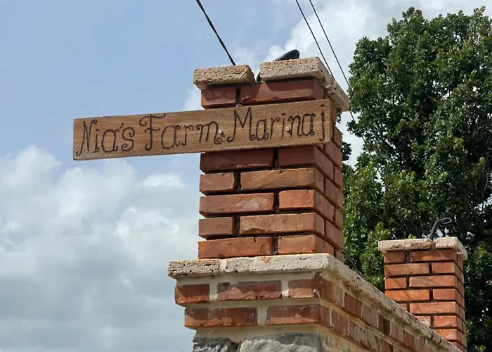 Nia's Farm Librazhet