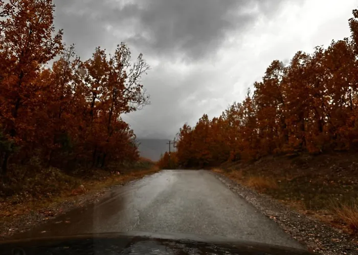 Nia's Farm * Librazhet