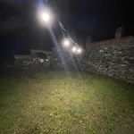 Nia's Farm