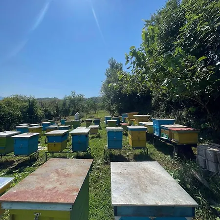 Nia's Farm Penzion Librazhet