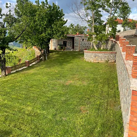 Nia's Farm