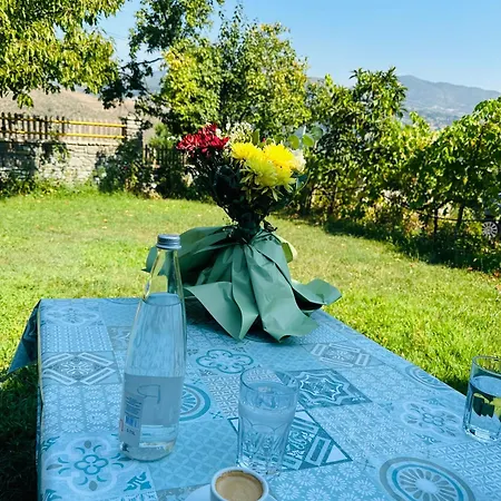 Gasthuis Nia's Farm *