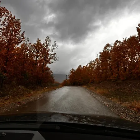 Nia's Farm * Librazhet