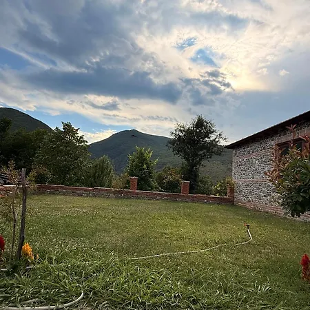Nia's Farm *