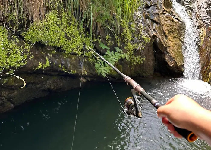 Nia's Farm Pensjonat Librazhet