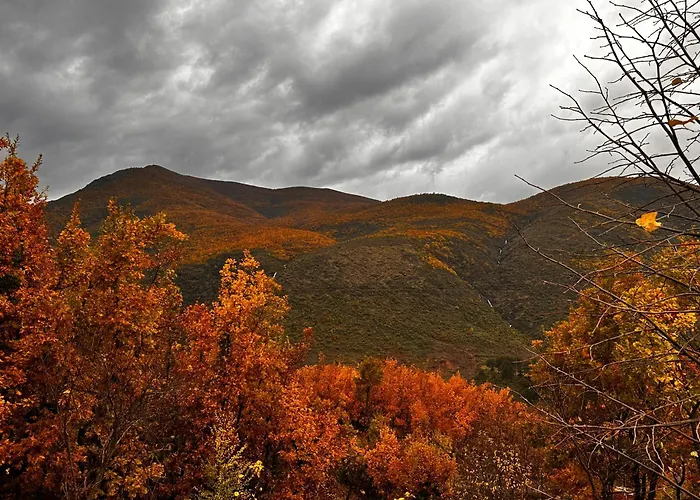 Nia's Farm Pensjonat *