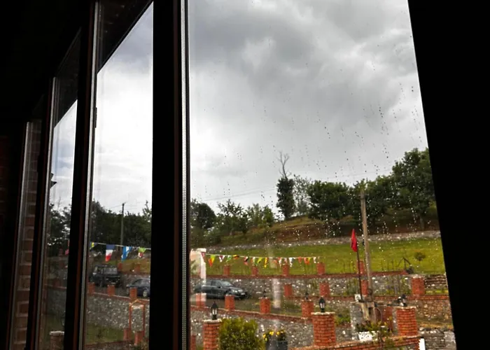 Nia's Farm Librazhet